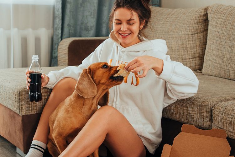 Memberi makan anjing tak bisa sembarangan, sebab bila terjadi kesalahan maka anjing bisa sakit bahkan mati. 