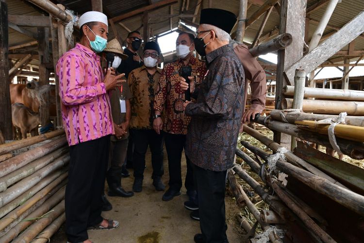 Wakil Presiden Ma'ruf Amin berdialog dengan peternak sapi saat mengunjungi peternakan Kelompok Tani Ternak Reyan Baru di Lombok Barat, Nusa Tenggara Barat (NTB), Kamis (30/6/2022) siang. 