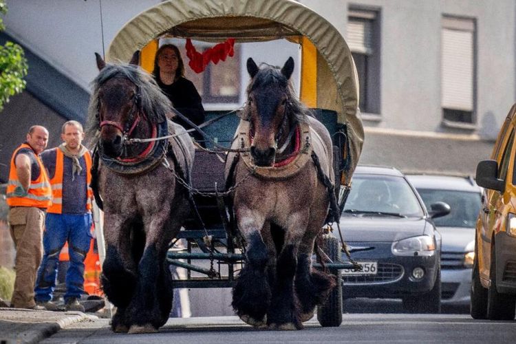 Stephanie Kirchner dan kendaraan kuda pengganti mobil bertenaga kudanya.