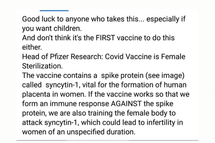 Status Facebook hoaks tentang vaksin Covid-19 Pfizer adalah sterilisasi pada perempuan. 