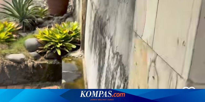 Paradoks Properti Indonesia di Tengah Ancaman Banjir Mengurai Risiko dan Solusi Mitigasi