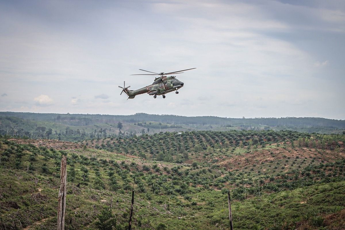 Kebun sawit terbesar di Indonesia adalah Riau. Di urutan kedua di Sumatera, perkebunan kelapa sawit terluas di Indonesia berada di Sumatera Utara.