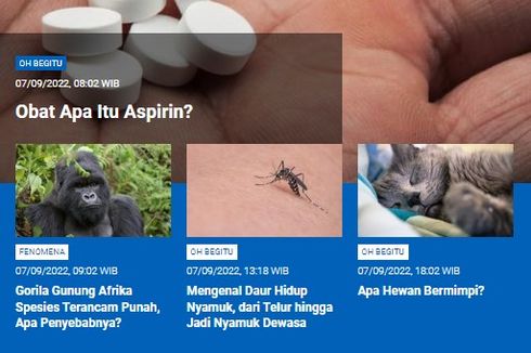 [POPULER SAINS] Obat Apa Itu Aspirin | Gorila Gunung Afrika Terancam Punah | Daur Hidup Nyamuk | Apa Hewan Bermimpi