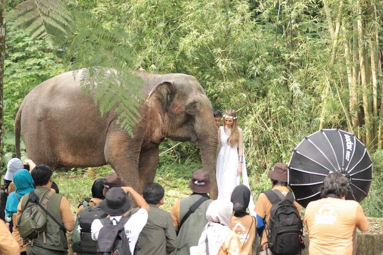 Panduan Etis untuk Interaksi Manusia dengan Satwa di Taman Safari Bogor