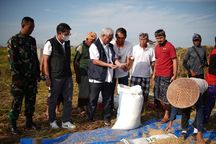 Jelang Ramadhan, Bulog Serap 140.000 Ton Gabah Beras dari Petani