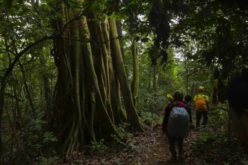 Menggapai Puncak Gunung Parang lewat Desa Pesanggrahan