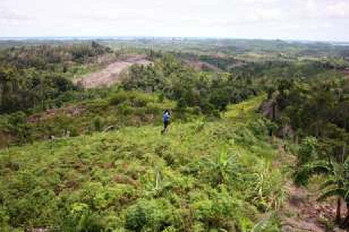 Lebih dari 40 persen kawasan hutan lindung pulau Nunukan menjadi kebun sawit. Belum lagi minimnya pengawasan disebabkan berlakunya Undang Undang 23 membuat pelaku illegal loging semakin berani menjarah hutan lindung. Dalam sehari Polisi Khusus Hutan Kabuapten Nunukan melaporkan 5 truk kayu diangkut par apelaku illegal loging.