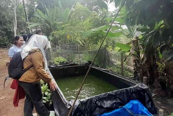 Tak Perlu Lahan Luas, Pekarangan Terpadu Bantu Atur Menu Harian