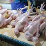 Harga Pangan Terkini: Daging Ayam Naik, Cabai Rawit Merah Turun