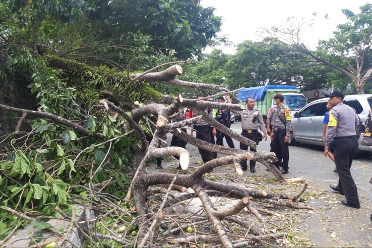 Aparat Polsek Sirimau, Ambon berusaha membersihkan pohon tumbang di Jalan Jenderal Sudirman di kawasan Tantui, Jumat (4/1/2019)