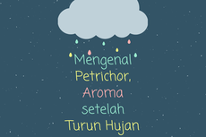 Mengenal Petrichor, Aroma setelah Turunnya Hujan 