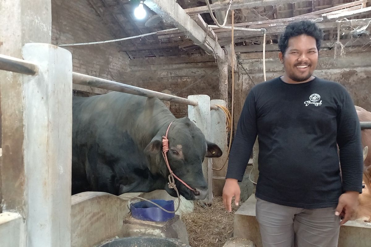 Black Bos dan pemiliknya ditemui di kandang di Jalan Magelang, Kamis (22/6/2023)