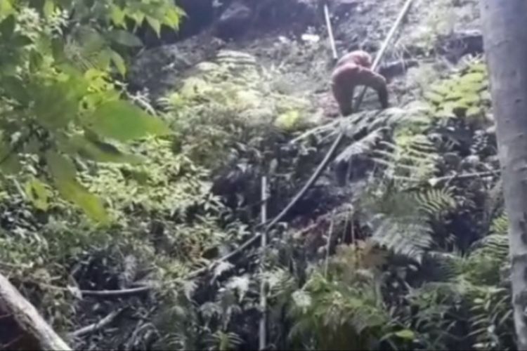 Foto: Salah seorang warga Dusun Natawulu, Desa Ladogahar, Kecamatan Nita, Kabupaten Sikka, NTT, sedang berusaha memperbaiki jaringan pipa di salah satu tebing yang cukup curam.