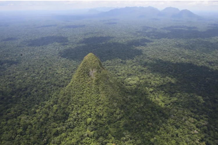 Melihat Cerro El Cono, “Gunung Piramida” Misterius di Tengah Hutan Amazon