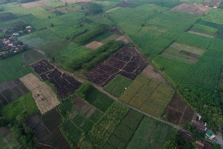 Foto udara bakal lokasi proyek Tol Probolinggo-Banyuwangi di Kecamatan Gending, Kabupaten Probolinggo, Jawa Timur, Rabu (6/6/2018). Jalan Tol Probolinggo-Banyuwangi direncanakan terbagi menjadi tiga seksi yaitu meliputi Seksi I Probolinggo-Besuki (46,1 km), Seksi II Besuki-Curahkalak (59,5 km), dan Seksi III Curahkalak-Ketapang (66,4 km) dan ditargetkan selesai akhir tahun 2019.