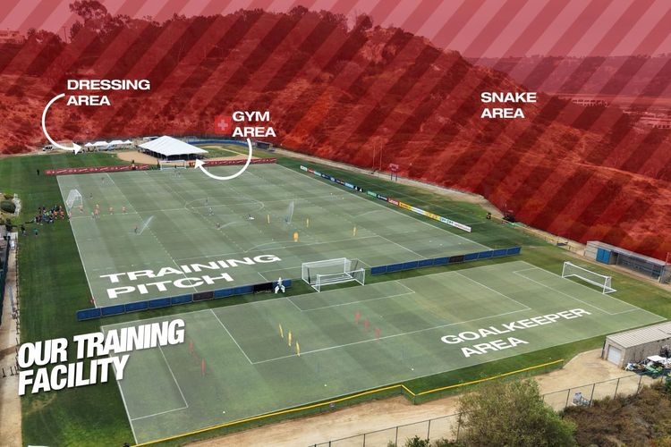 Base Camp Timnas Swiss di Piala Dunia 2026 Dikelilingi Habitat Ular Derik, Ada 4 Spesies