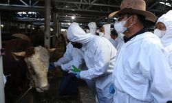 Kementan Pastikan 1,8 Juta Hewan Kurban Aman untuk Penuhi Kebutuhan Idul Adha