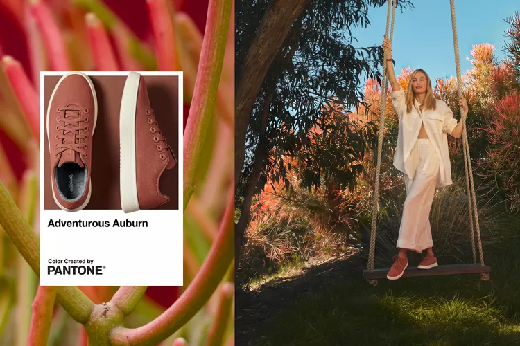 Manuver Bisnis Ekstrem, Brand Sepatu Allbirds Putar Haluan Jadi Perusahaan AI