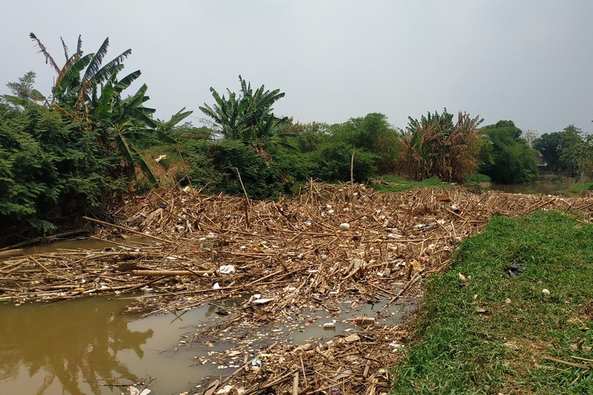 Tumpukan bambu kiriman dari Bogor memenuhi aliran Kali Cikeas di Jatiasih, Kota Bekasi sejak Kamis (10/10/2019).