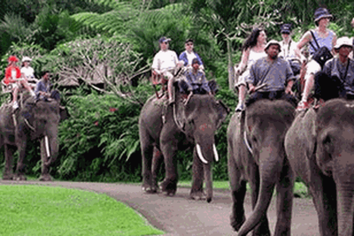 Bali Safari and Marine Park di Gianyar, Bali.