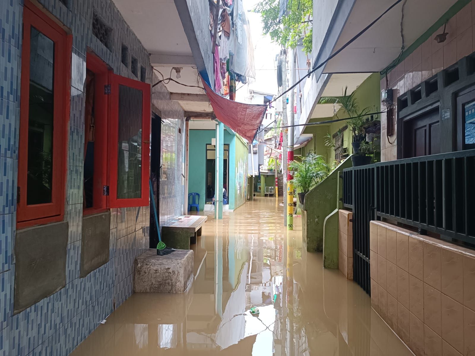 Banjir di Jakarta Meluas, Kini Ada 12 RT yang Terendam