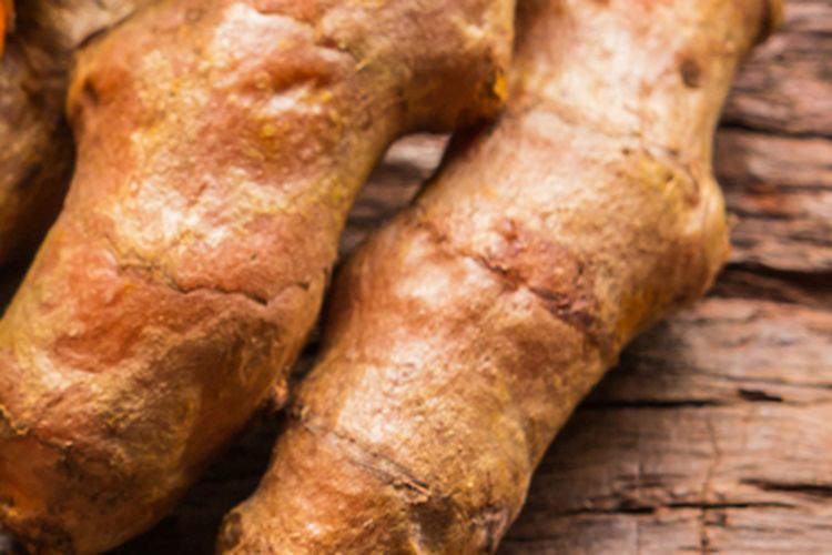 Rimpang tanaman kunyit