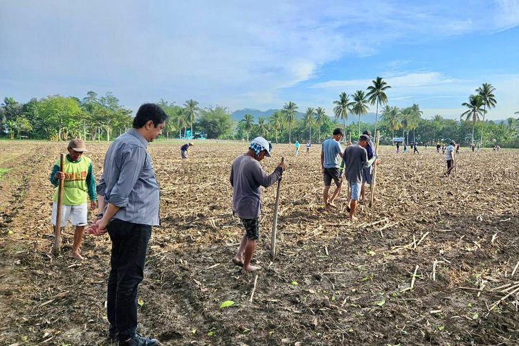 Kementan mendorong proram peningkatan produksi dan produktivitas padi dan jagung di Gorontalo untuk mewujudkan ketahanan pangan.