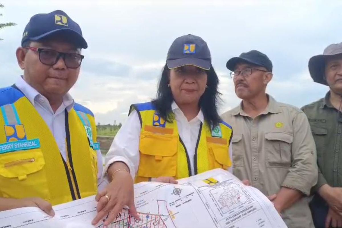 Wamen PU Diana Tinjau Kondisi Irigasi di Lahan Food Estate Dadahup, Masih Ada Lahan Cetak Sawah Tergenang