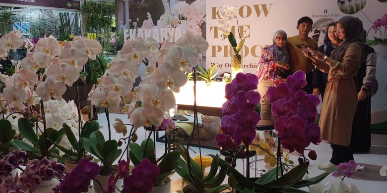 Berbagai tanaman anggrek tampil pada Batu International Orchid Show 2022