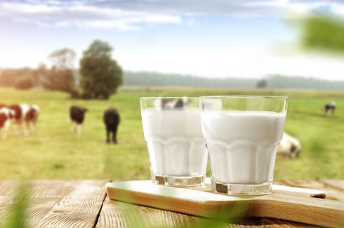 Cara Mengenali Alergi Protein Susu Sapi pada Bayi