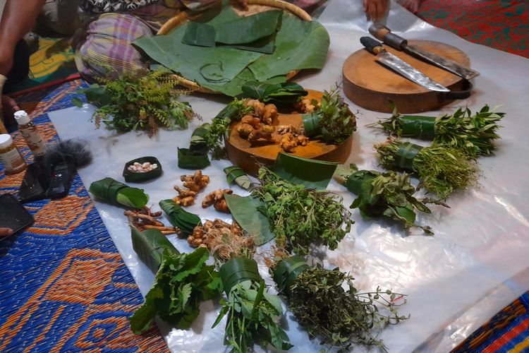 Ragam herba yang digunakan untuk membuat obat herbal Arih Ersada, kelompok tanaman di Desa Desa Batu Jongjong, Bahorok, Langkat, Sumatera Utara. 