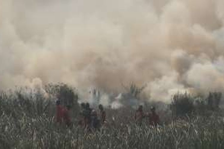 Kebakaran lahan gambut terjadi di sisi jalan lintas timur Palembang-Ogan Ilir Rabu siang menciptakan asap tebal membumbung tinggi ke udara