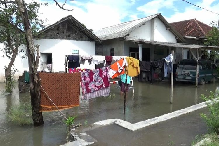 Banjir genangi puluhan rumah warga di Lumajang