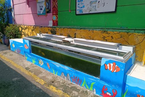 Budi Daya Ikan Lele Organik di Kampung Literasi Klender, Hasilnya Dimakan Liwetan oleh Warga