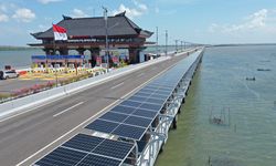ASEAN Tertinggal, Cuma 23 Persen Listrik dari Energi Terbarukan 