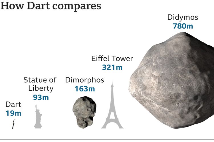 Objek terbesar, yang disebut Didymos, berukuran sekitar 780 meter, sedangkan pendampingnya yang lebih kecil - Dimorphos - lebarnya sekitar 160 meter.