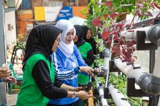 Kelompok PKK Rawa Barat Jaksel Sulap Lahan Sempit Jadi Asri dan Produktif dengan Dukungan BRI Peduli