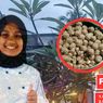Lulusan SMK Ini Sukses Kembangkan Bisnisnya, Sehari Habiskan 3 Kilogram Bakso