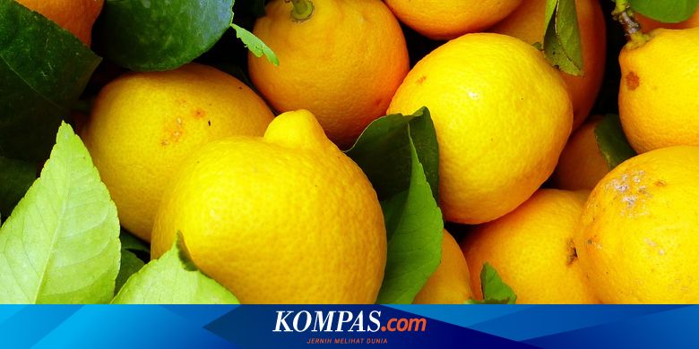 Kisah Sukses Budi Berdayakan Petani Lemon Banyuwangi, Olah Sari Lemon Beromzet Rp 10 Juta Sebulan - Vimarsana News
