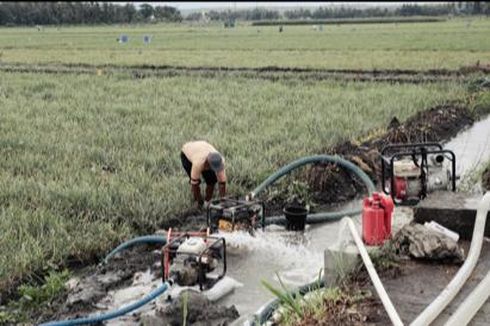 Di Tengah Krisis Pangan Global, Mentan SYL Sebut KUR Jadi Solusi Permodalan Petani 