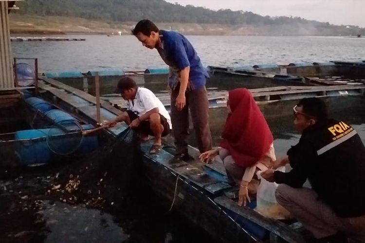 Tim Dinas Perikanan Dinas Pangan, Pertanian dan Perikanan (Dispaperkan), Kabupaten Wonosobo, sedang melakukan tinjauan ke waduk Wadaslintang setelah puluhan ton ikan mati mendadak, Jumat (26/7/2019).