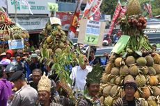 Hadiah Rp 3 Juta untuk Petani yang Punya Durian Paling Besar