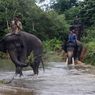 Aturan Baru, Pawang Gajah Sri Lanka Tak Boleh Mabuk Saat Bekerja