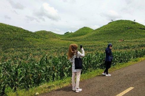 Sekarang Waktu yang Tepat Berburu Foto di Bukit Teletubies Yogyakarta