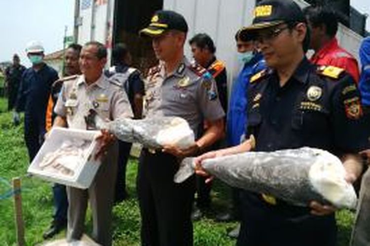 Ikan beku yang akan dikubur