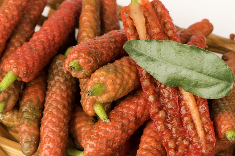 Ilustrasi cabai jawa.