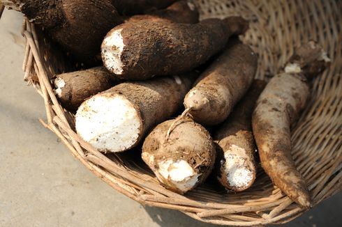 Bangkitkan Potensi Lokal, Kementan Resmikan Gelar Pangan Nusantara