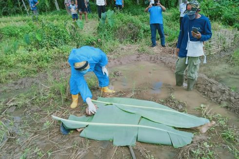 Petani Meninggal saat Mencangkul di Sawah, Petugas Evakuasi Pakai APD Lengkap