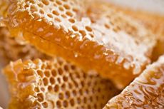 Apakah Sarang Lebah Aman untuk Dimakan? Ini Penjelasannya