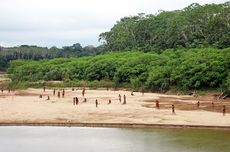 Suku Pedalaman Hutan Amazon Tiba-tiba Keluar, Ada Apa?